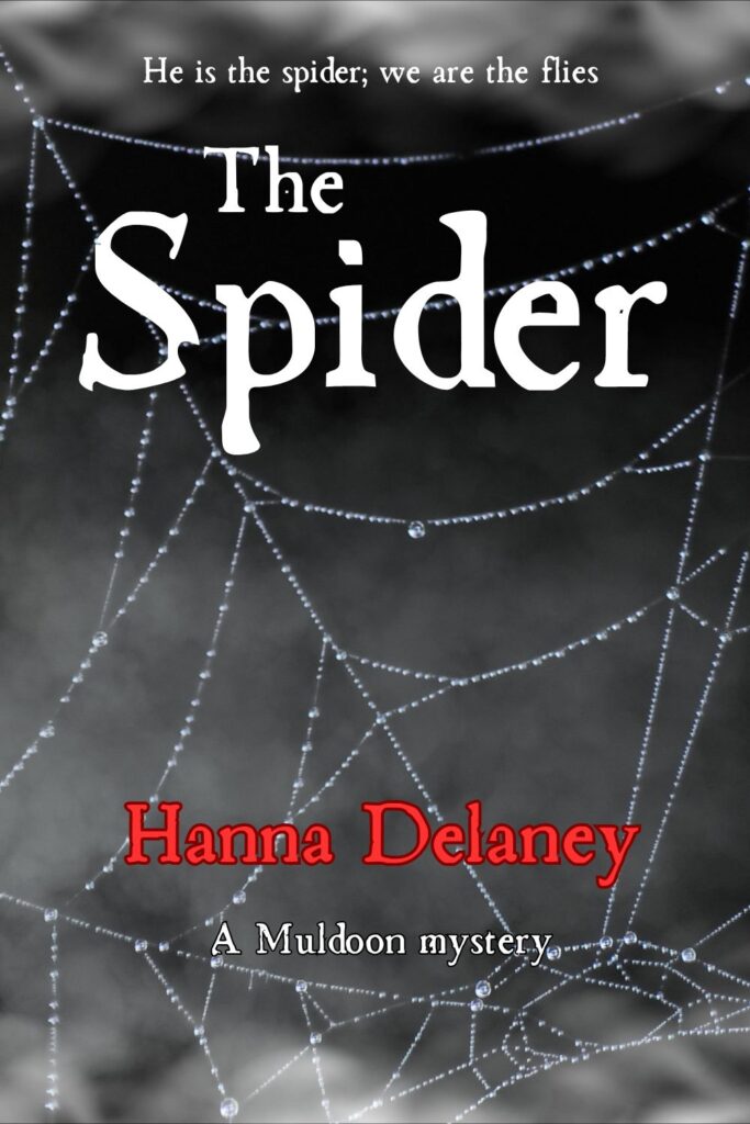 The Spider is a historical horror novel by Hanna Delaney. It combines the classic Victorian Gothic Horror novel with a supernatural edge. If you like Wilkie Collins and Shirley Jackson, you'll enjoy the Muldoon Mysteries. Horror novels to read in 2025. New horror novels by women. Classic Horror Novels to read.
