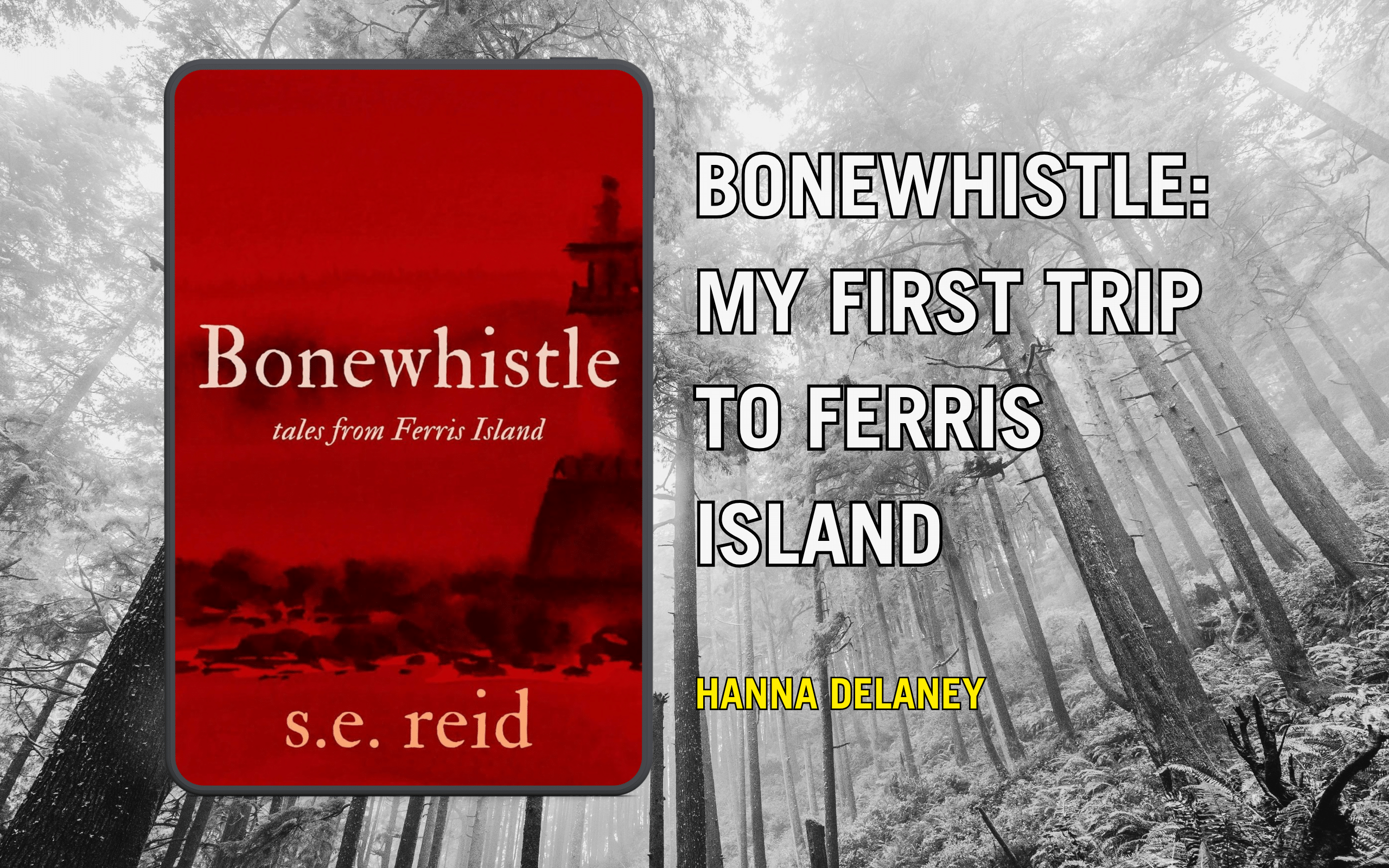 Book review of Bonewhistle by SE Reid.